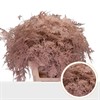 ASPARAGUS PLUMOSUS APRICOT URVAL